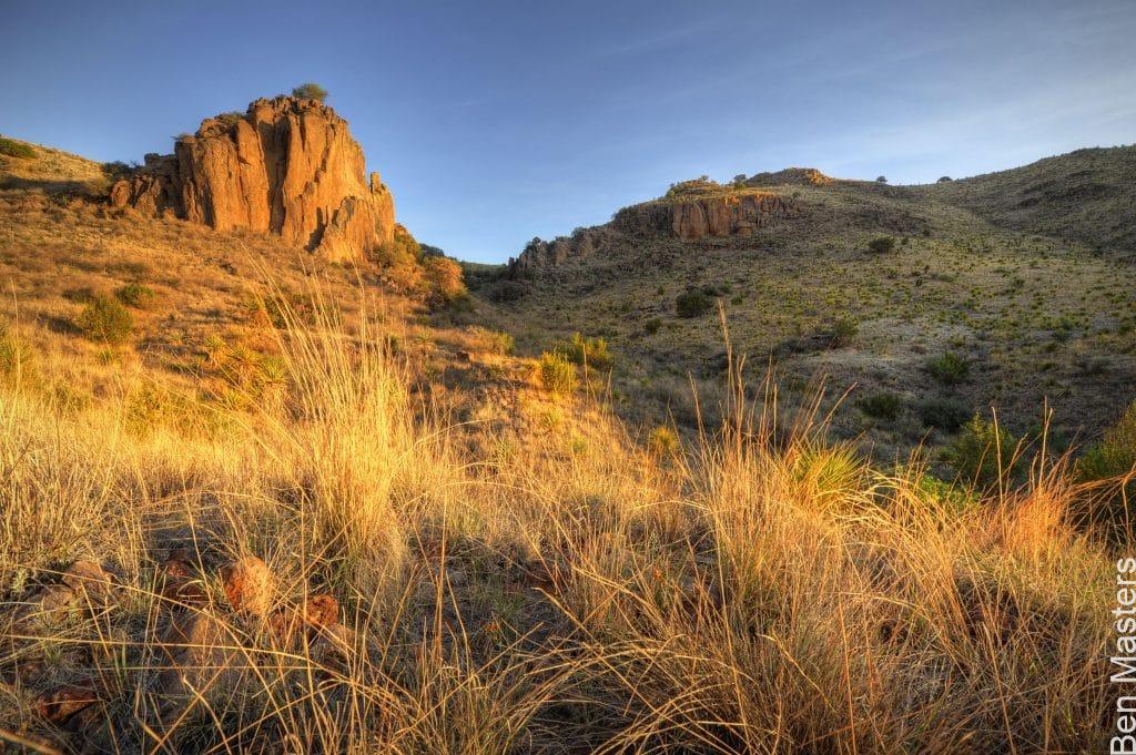 Desert grasslands on a mesa top