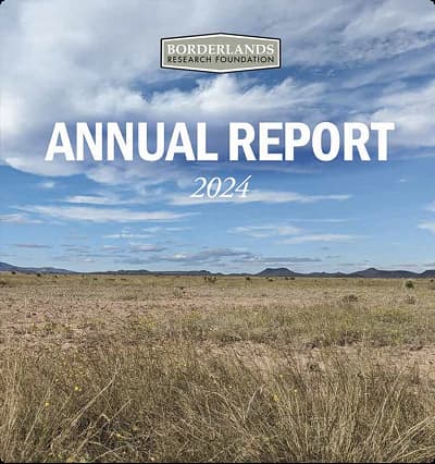 Download 2024 BRF Annual Report